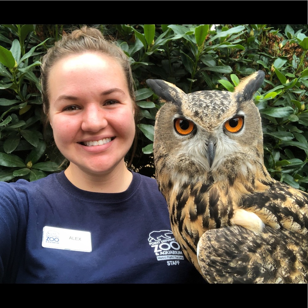 Meet your Posher, Alexandra